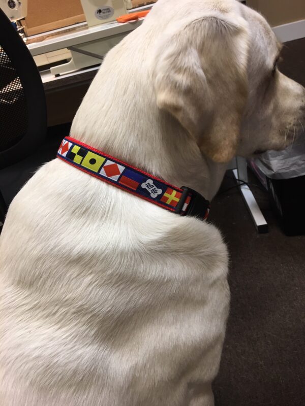 Ruff Life Nautical Dog Collars--Made in USA and made to order - Image 6