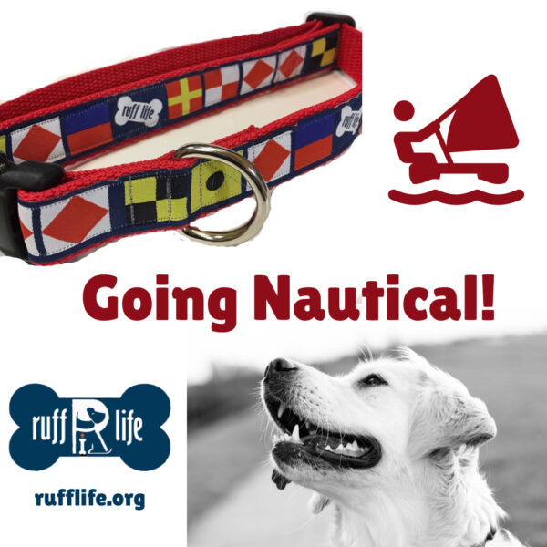 Ruff Life Nautical Dog Collars--Made in USA and made to order - Image 2